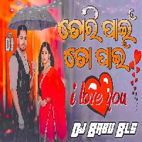 Tori Pain To Pain-Odia Dj Mix Song-Dj Babu Bls